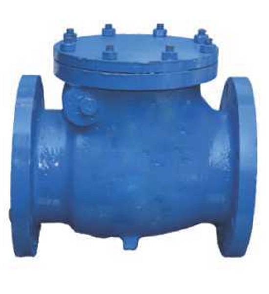 Global Valve Automation - NON RETURN VALVE CLASS 125 SWING TYPE BOLTED COVER